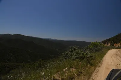 DSC_5893 (Large).JPG